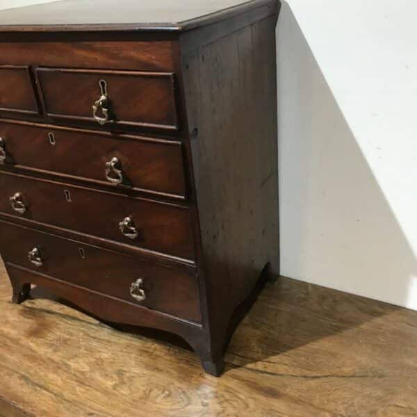 Apprentice piece, Georgian chest of mahogany draws Antique Draws 7
