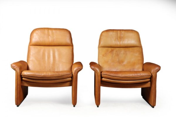 A Pair of De Sede Reclining DS50 in Tan Neck Leather de sede Antique Chairs 15