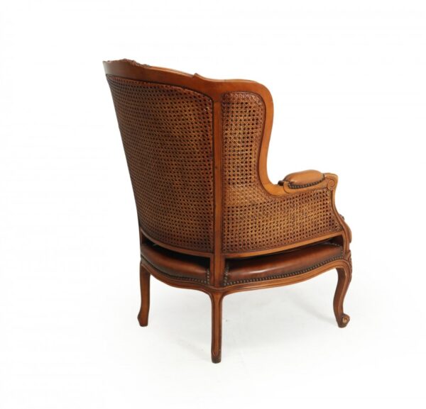 French Leather Bergere Chair Louis XV style - Image 11