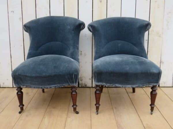 Pair Antique French Tub Chairs - Image 2
