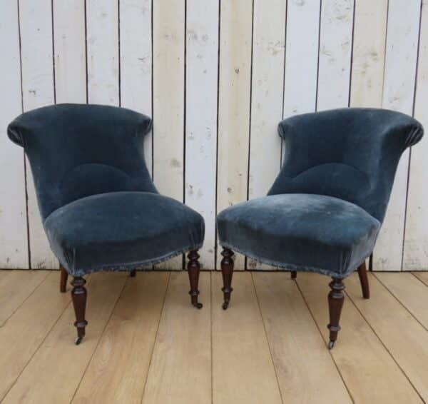 Pair Antique French Tub Chairs