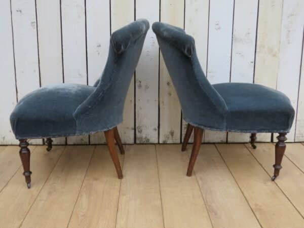 Pair Antique French Tub Chairs - Image 5