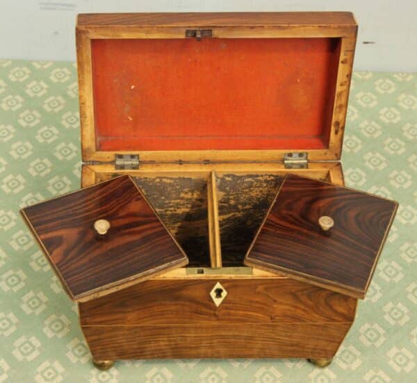 Antique Rosewood Tea Caddy Antique Antique Boxes 13