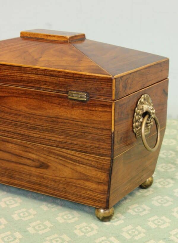 Antique Rosewood Tea Caddy Antique Antique Boxes 17