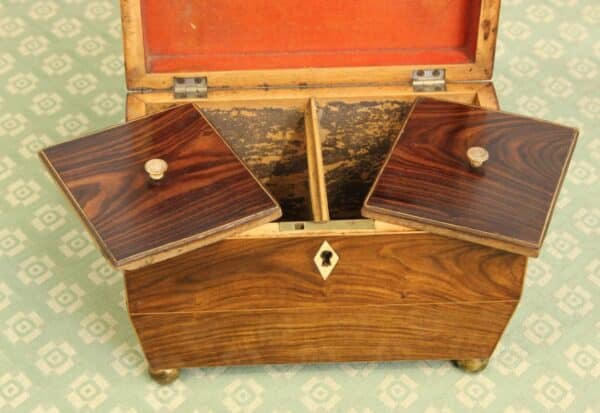 Antique Rosewood Tea Caddy Antique Antique Boxes 18