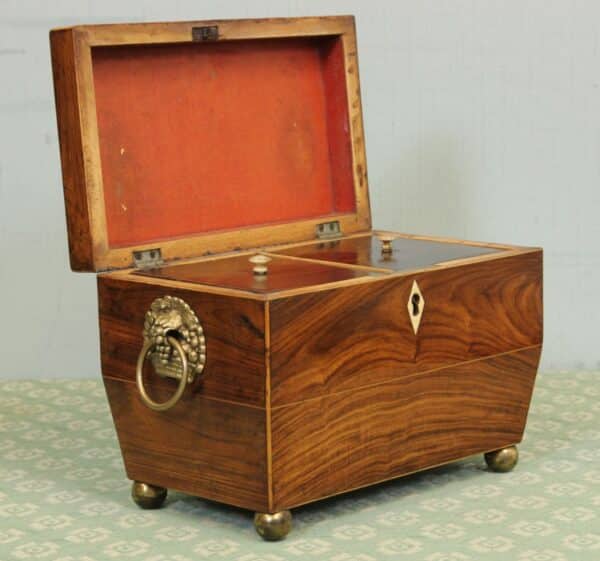 Antique Rosewood Tea Caddy Antique Antique Boxes 6