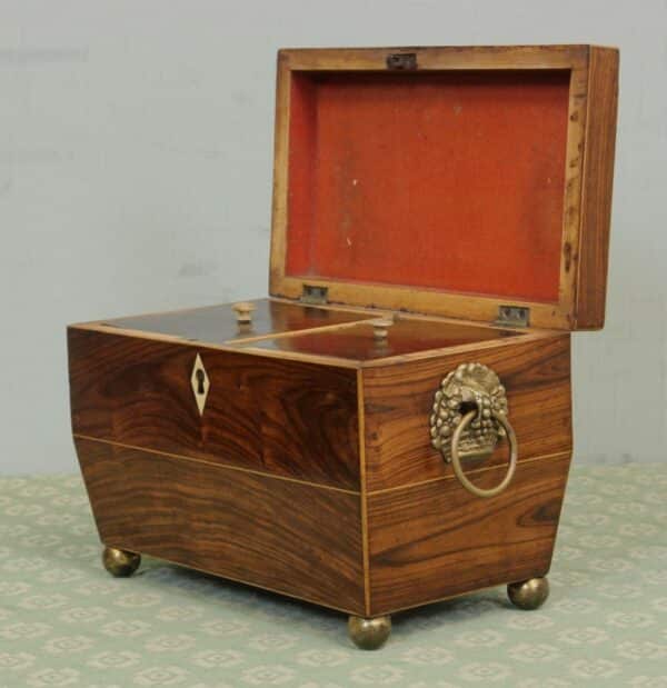 Antique Rosewood Tea Caddy Antique Antique Boxes 7