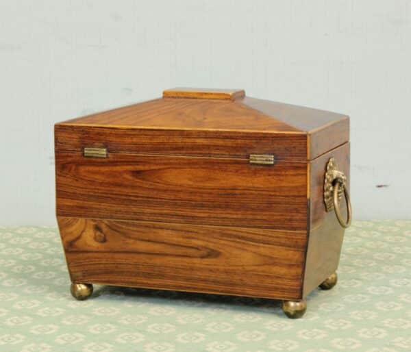 Antique Rosewood Tea Caddy Antique Antique Boxes 9