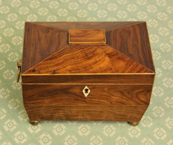 Antique Rosewood Tea Caddy Antique Antique Boxes 10