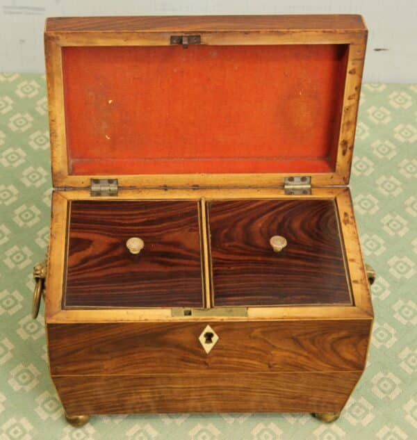 Antique Rosewood Tea Caddy Antique Antique Boxes 12