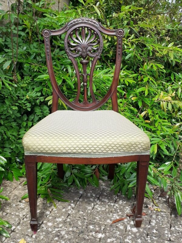 Georgian Hepplewhite side chair circa 1790 cuban mahogany Antique Chairs 3