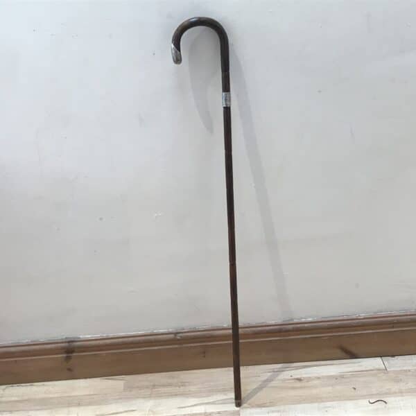 Gentleman’s walking stick sword stick with silver mounts - Image 2