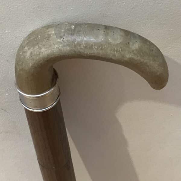 Gentleman’s walking stick sword stick with silver collar - Image 4