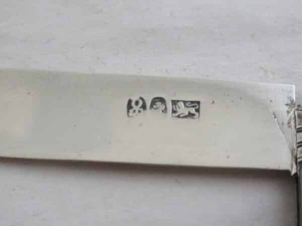 Silver & Mother of Pearl – SUPERB FRUIT KNIFE – Hallmarked:- Sheffield 1815 Mother Pearl Fruit Knife Antique Silver 6