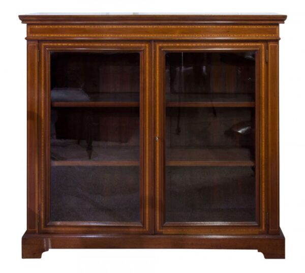 Edwardian Mahogany Bookcase - Image 6