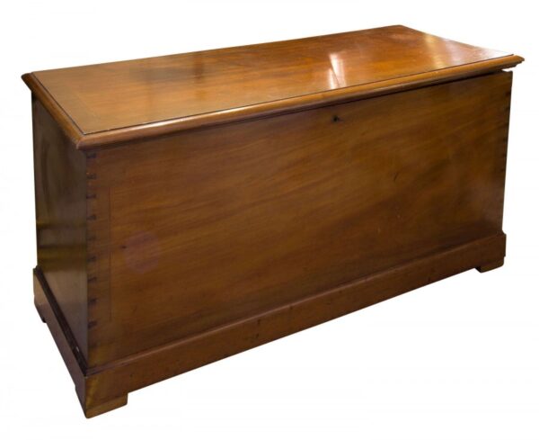 Late 19thCentury mahogany trunk