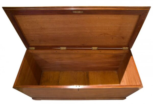 Late 19thCentury mahogany trunk - Image 2