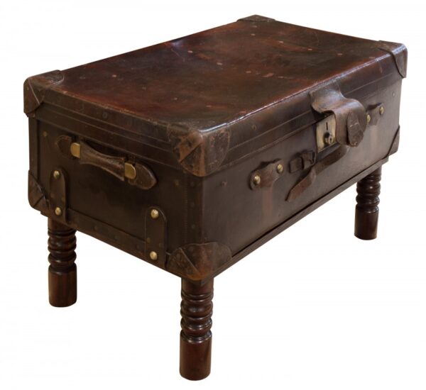 Leather suitcase on later stand