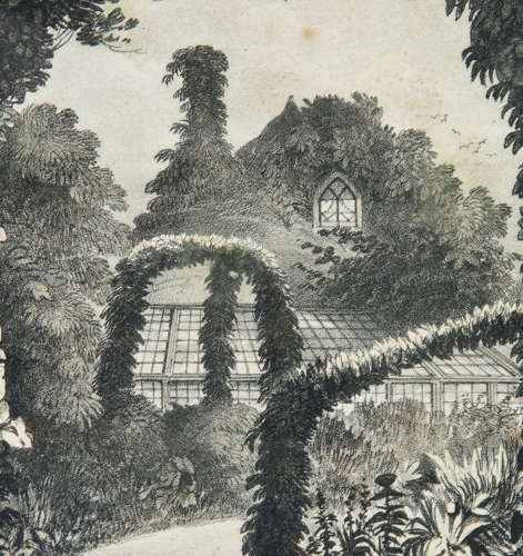 Set of 4 lithographs of the famous gardens of Knowle Cottage Sidmouth - Image 4