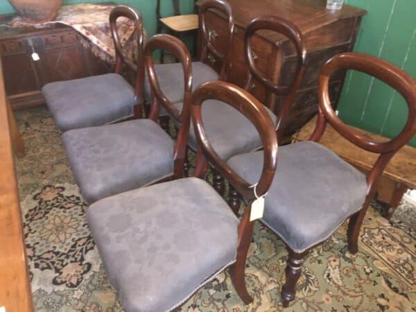 Mahogany balloon back chairs Antique Chairs 3
