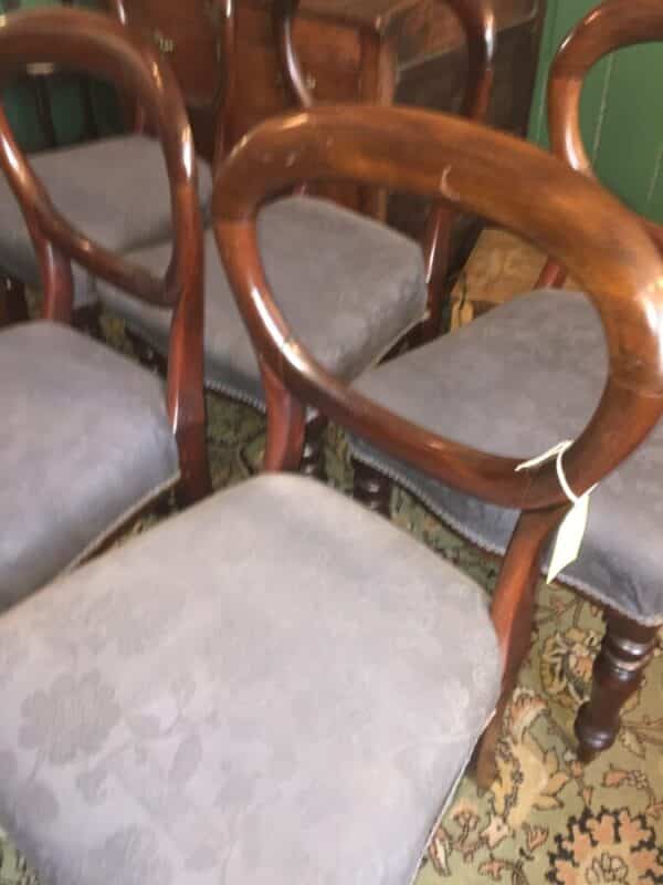 Mahogany balloon back chairs Antique Chairs 5