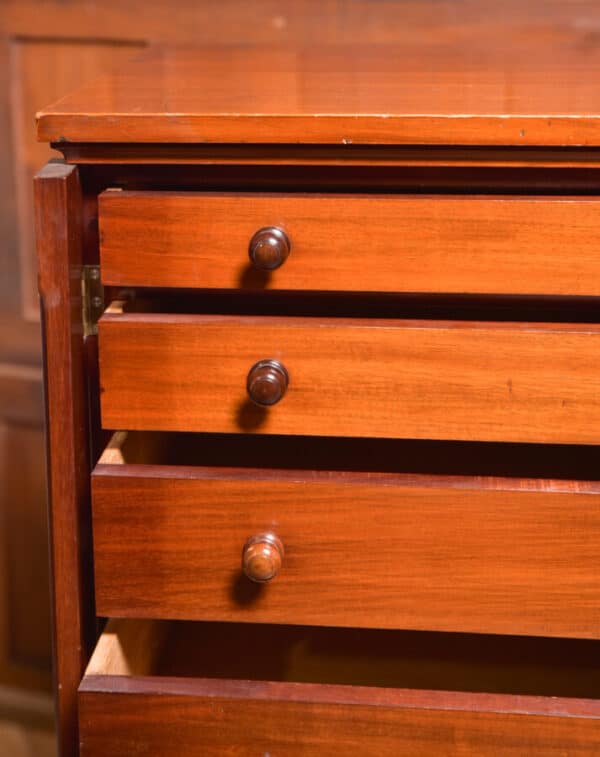 Victorian Mahogany Wellington Chest SAI2393 - Image 6