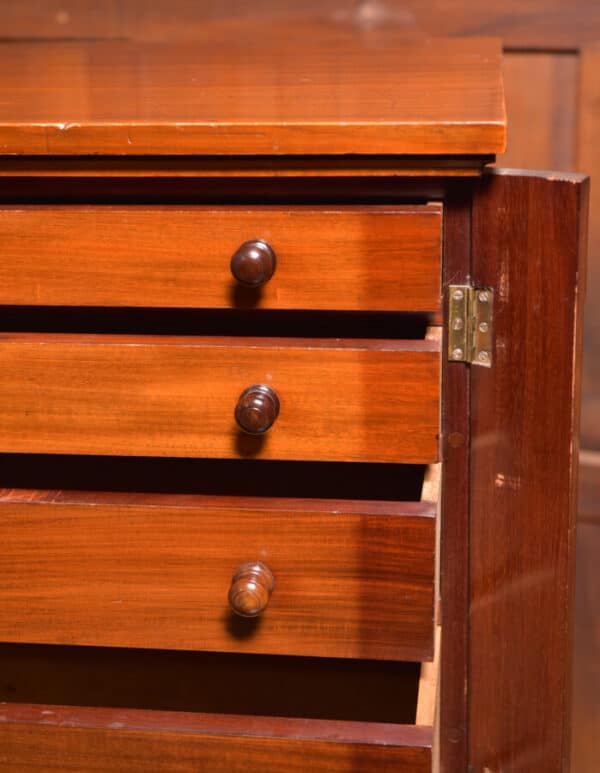 Victorian Mahogany Wellington Chest SAI2393 - Image 5