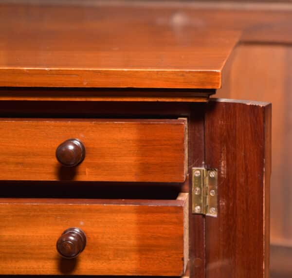 Victorian Mahogany Wellington Chest SAI2393 - Image 4