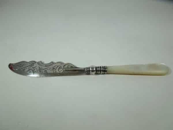 silver mother pearl butter nife