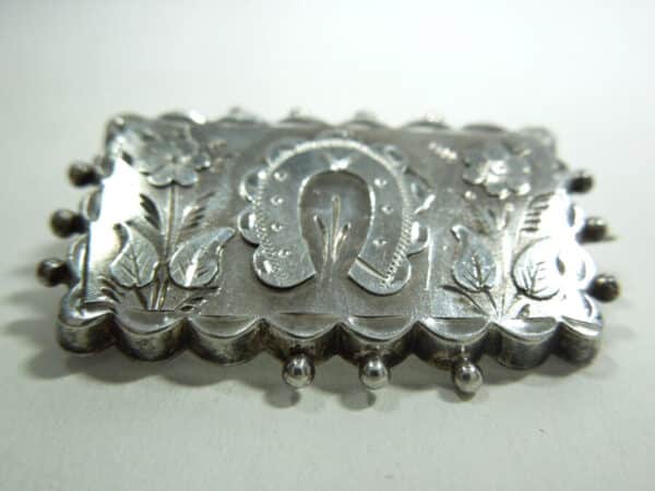 silver horseshoe brooch