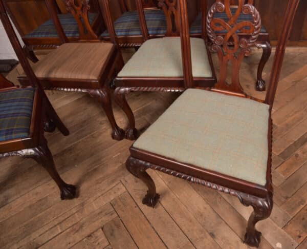 Set Of 8 Chippendale Style Dining Room Chair SAI2441 Antique Chairs 22