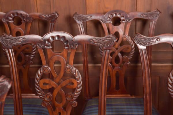 Set Of 8 Chippendale Style Dining Room Chair SAI2441 Antique Chairs 19