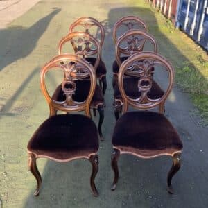 Set of six walnut dining chairs, cabriolet legs profusely carved and recently upholstered Antique Chairs