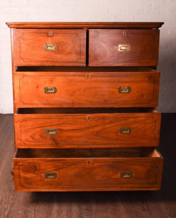 Camphor Wood Campaign Chest Of Drawers SAI1052 Antique Draws 4