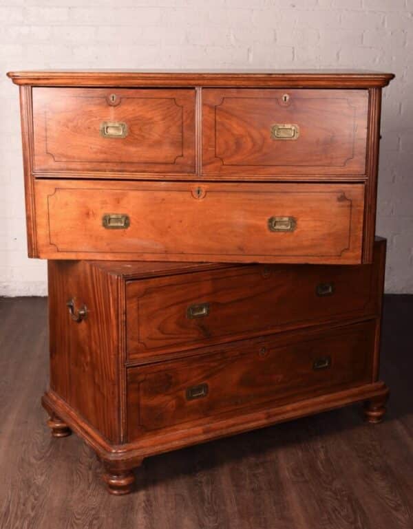 Camphor Wood Campaign Chest Of Drawers SAI1052 Antique Draws 5