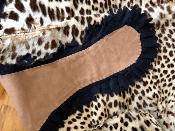 An Antique Taxidermy Leopard Skin Rug By Quality Maker Peter Spicer - Image 10