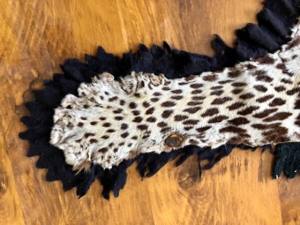 An Antique Taxidermy Leopard Skin Rug By Quality Maker Peter Spicer - Image 9