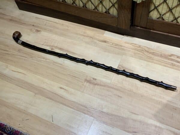 Irish Blackthorn officers walking stick sword stick Miscellaneous 7