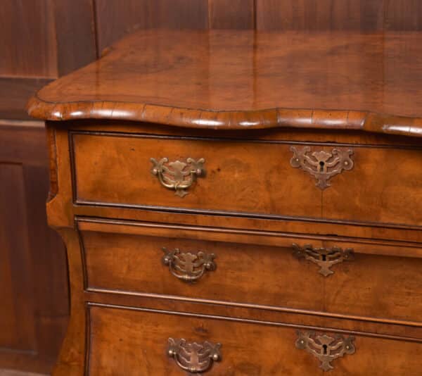 Walnut Dutch Bombe Chest Of Drawers SAI2562 - Image 2