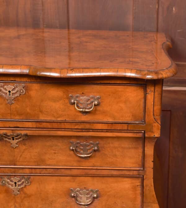 Walnut Dutch Bombe Chest Of Drawers SAI2562 - Image 4