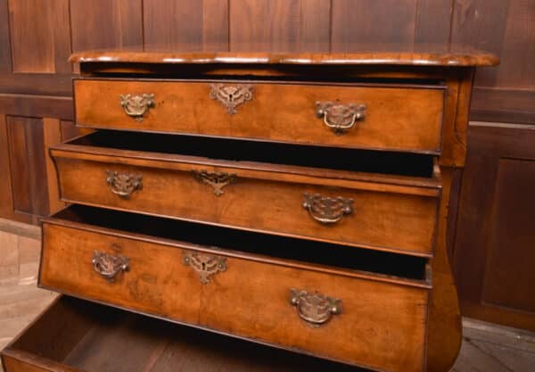 Walnut Dutch Bombe Chest Of Drawers SAI2562 - Image 8