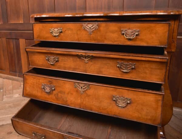 Walnut Dutch Bombe Chest Of Drawers SAI2562 - Image 9