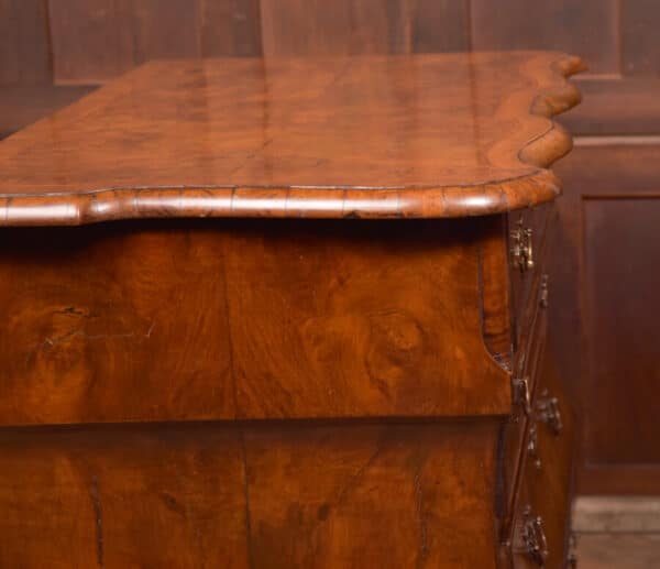 Walnut Dutch Bombe Chest Of Drawers SAI2562 - Image 13