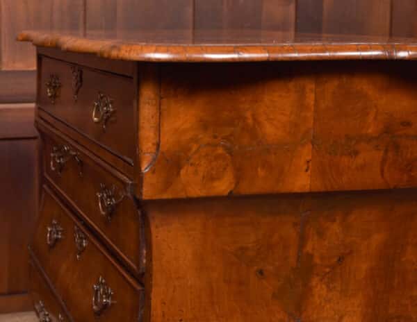Walnut Dutch Bombe Chest Of Drawers SAI2562 - Image 18