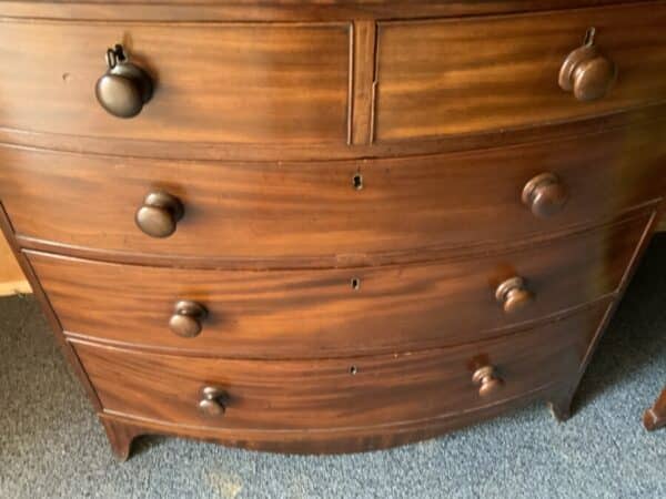 Georgian Bow fronted mahogany chest of two over three drawers - Image 7