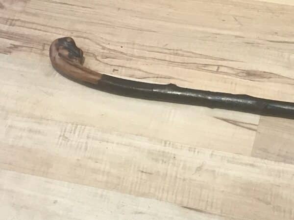 Irish Blackthorn gentleman’s walking stick sword stick Victorian Miscellaneous 4