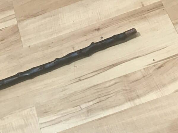 Irish Blackthorn gentleman’s walking stick sword stick Victorian - Image 9