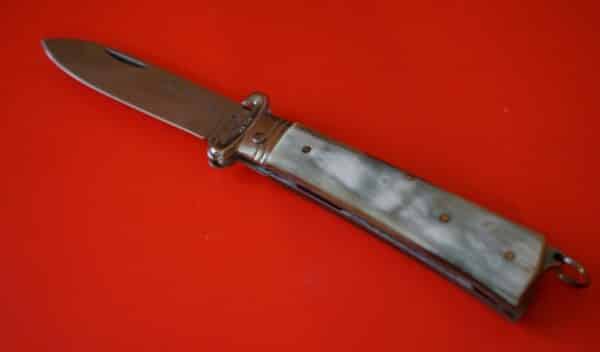 Maserin Rare Italian Stag Handle Folding Knife Bayonets Antique Knives 3