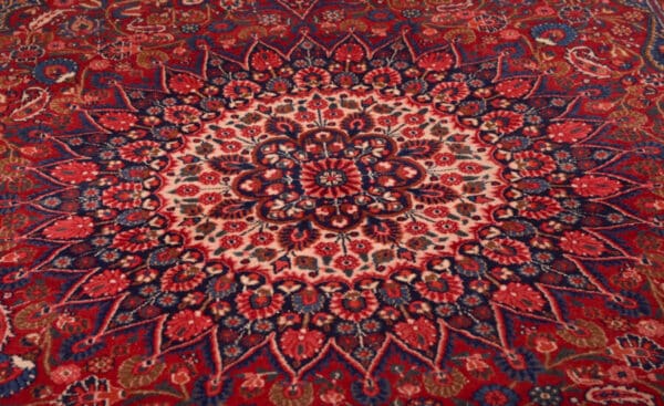 Hand Woven Rug SAI2561 - Image 10
