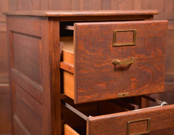 Library Bureau Oak Filing Cabinet SAI2581 Antique Furniture 15